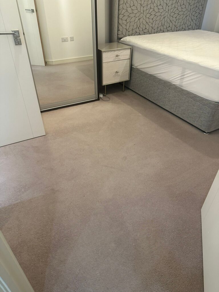 Deep Cleaning in Greenwich SE10 - Image 7